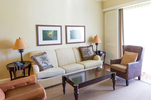 Luxury One Bedroom Villa
